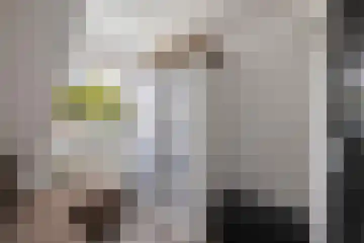 Van Haersoltelaan 9 Vollenhove thumbnail 38