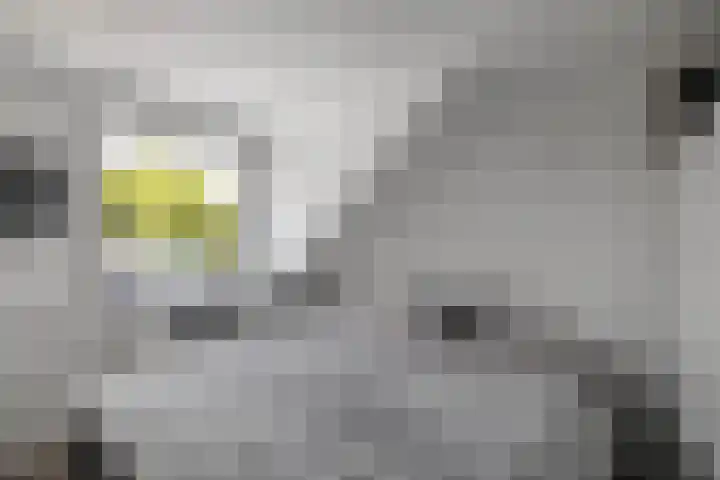 Van Haersoltelaan 9 Vollenhove thumbnail 4