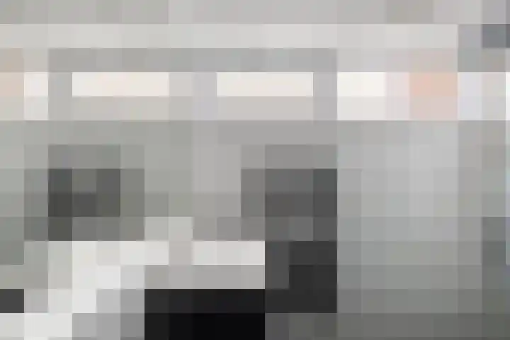 Van Haersoltelaan 9 Vollenhove thumbnail 40