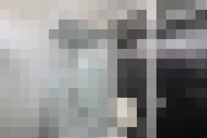 Van Haersoltelaan 9 Vollenhove thumbnail 41