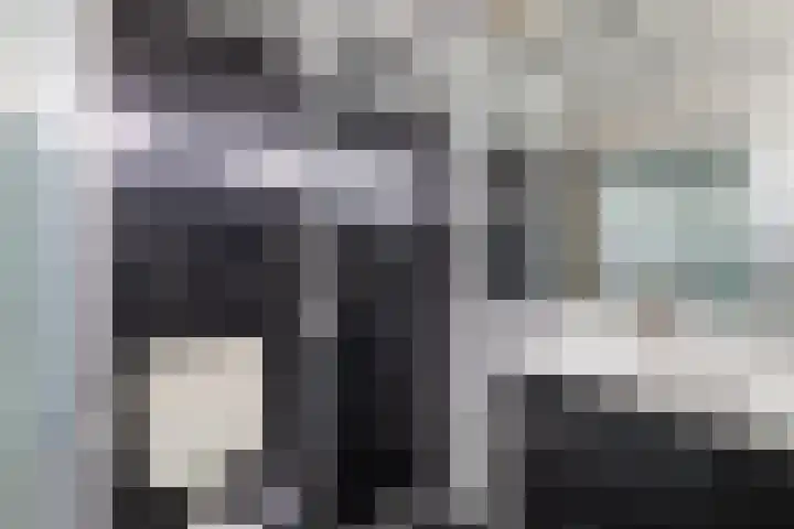 Van Haersoltelaan 9 Vollenhove thumbnail 42