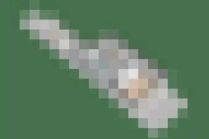 Van Haersoltelaan 9 Vollenhove thumbnail 44