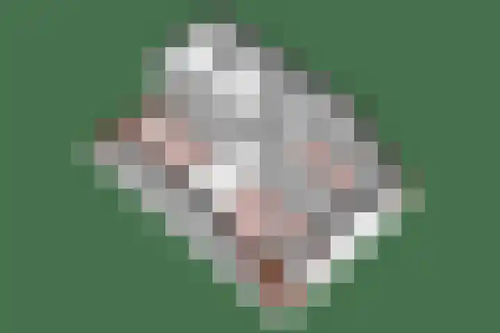 Van Haersoltelaan 9 Vollenhove thumbnail 46