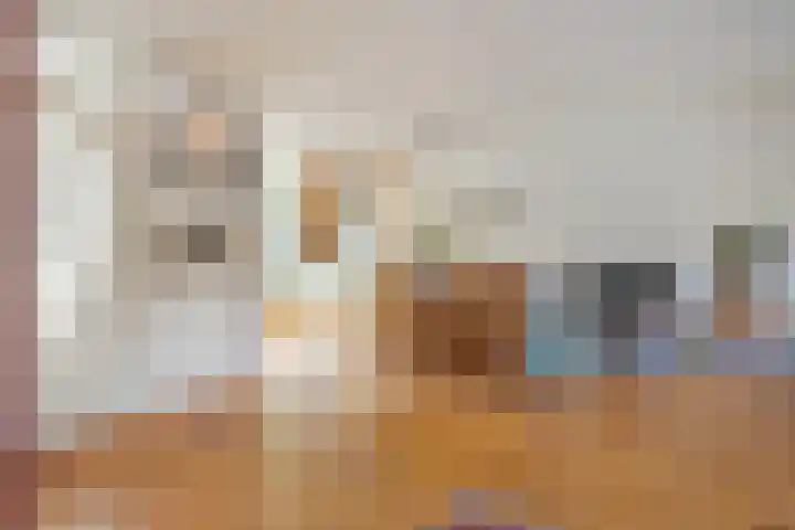 Van Haersoltemarke 30 Zwolle thumbnail 10