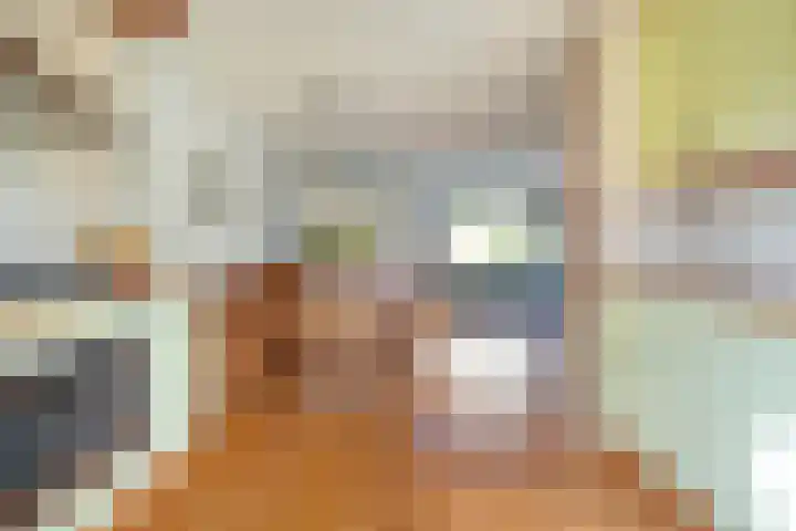 Van Haersoltemarke 30 Zwolle thumbnail 14
