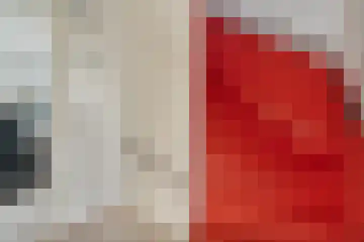 Van Haersoltemarke 30 Zwolle thumbnail 20