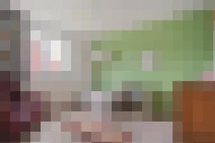 Van Haersoltemarke 30 Zwolle thumbnail 22
