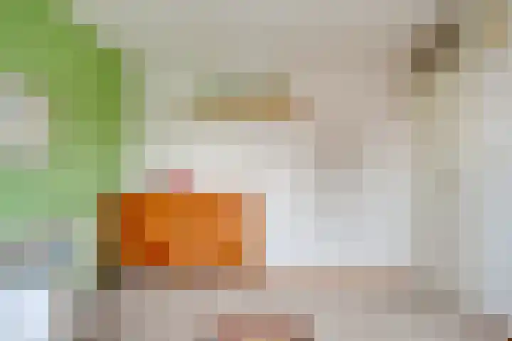 Van Haersoltemarke 30 Zwolle thumbnail 23