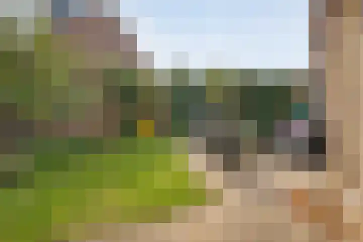 Van Haersoltemarke 30 Zwolle thumbnail 32
