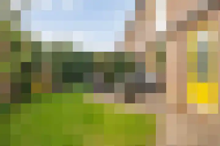 Van Haersoltemarke 30 Zwolle thumbnail 33