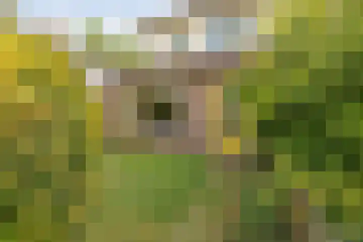 Van Haersoltemarke 30 Zwolle thumbnail 35