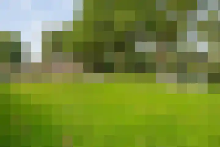 Van Haersoltemarke 30 Zwolle thumbnail 37