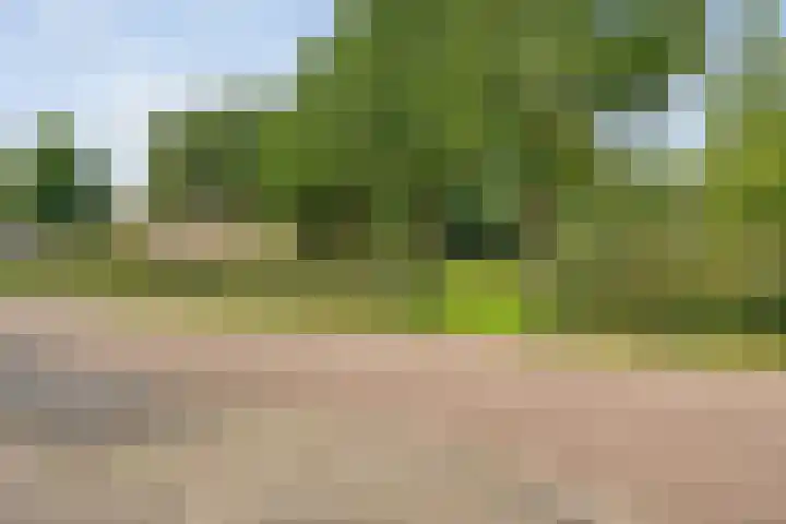Van Haersoltemarke 30 Zwolle thumbnail 38
