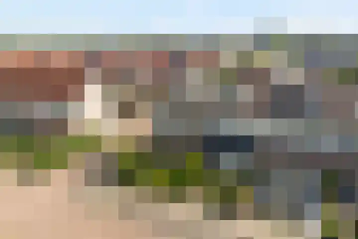 Van Haersoltemarke 30 Zwolle thumbnail 39