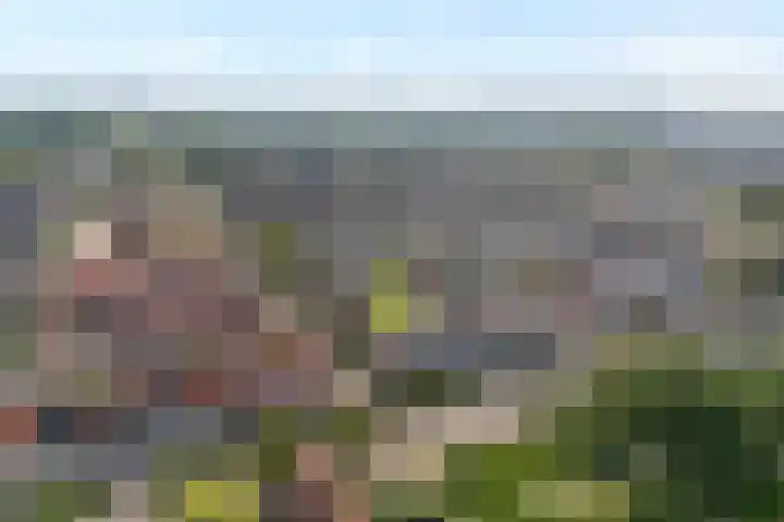 Van Haersoltemarke 30 Zwolle thumbnail 4