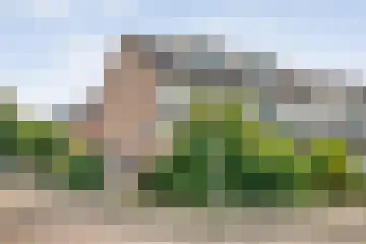 Van Haersoltemarke 30 Zwolle thumbnail 41