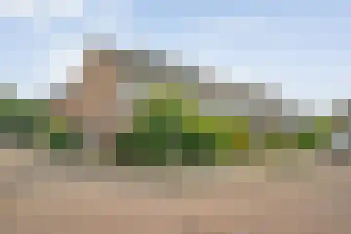 Van Haersoltemarke 30 Zwolle thumbnail 42