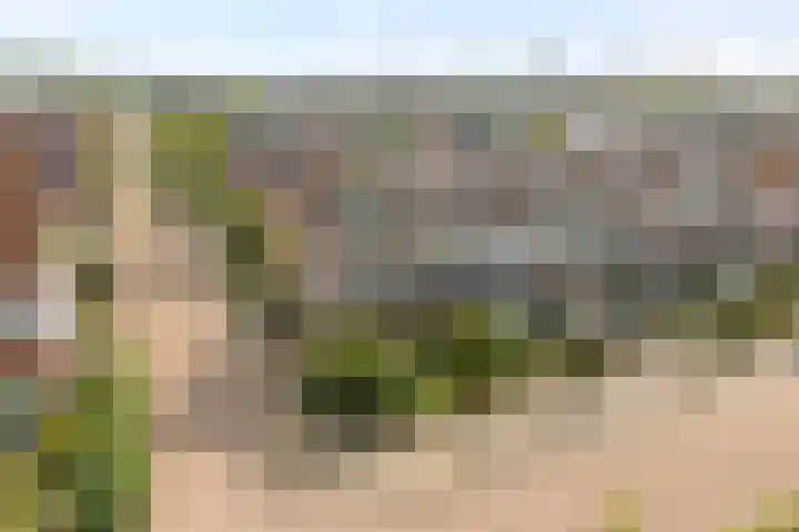 Van Haersoltemarke 30 Zwolle thumbnail 47