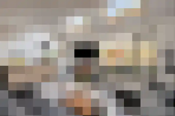 Van Haersoltemarke 4 Zwolle thumbnail 10