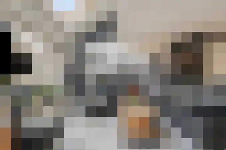 Van Haersoltemarke 4 Zwolle thumbnail 11