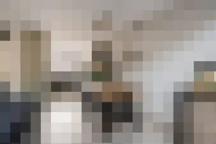 Van Haersoltemarke 4 Zwolle thumbnail 13