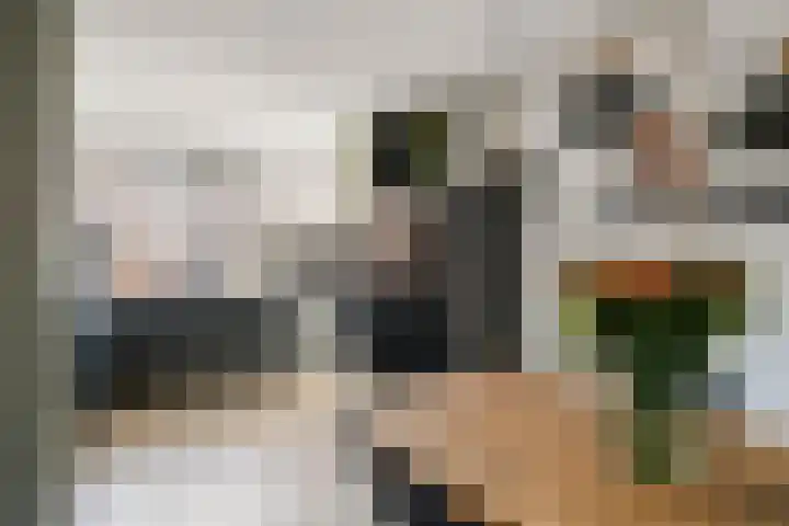 Van Haersoltemarke 4 Zwolle thumbnail 14