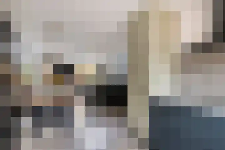 Van Haersoltemarke 4 Zwolle thumbnail 15