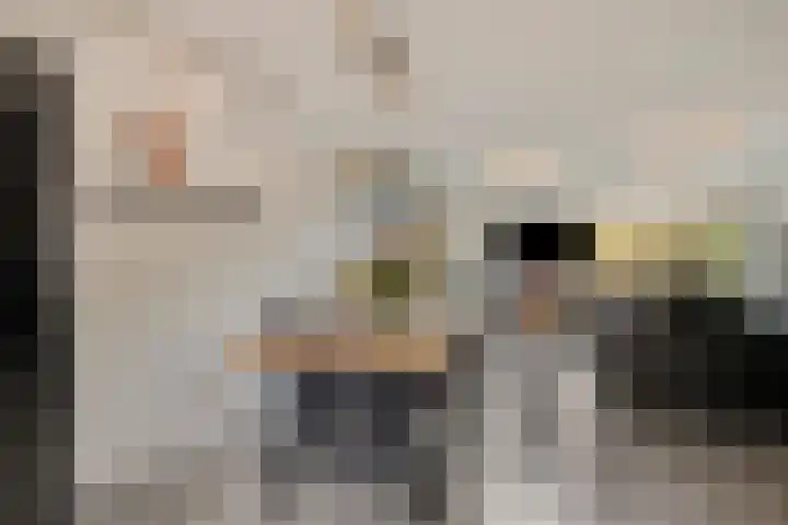 Van Haersoltemarke 4 Zwolle thumbnail 16