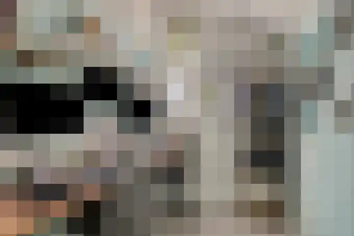 Van Haersoltemarke 4 Zwolle thumbnail 18