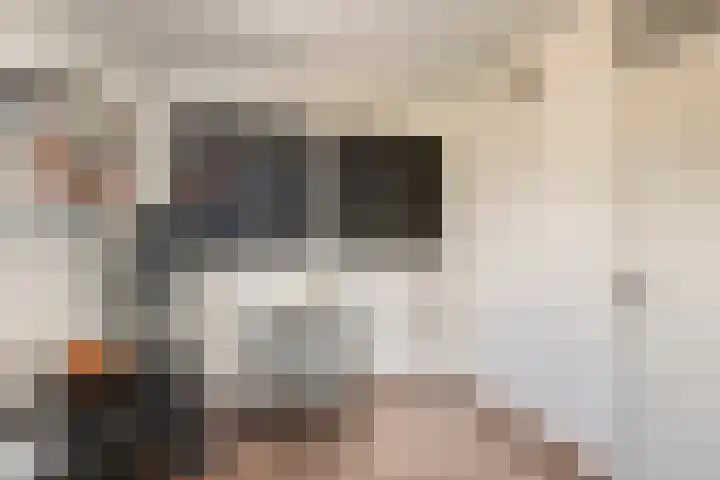 Van Haersoltemarke 4 Zwolle thumbnail 23