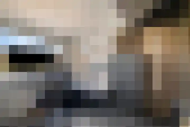 Van Haersoltemarke 4 Zwolle thumbnail 28