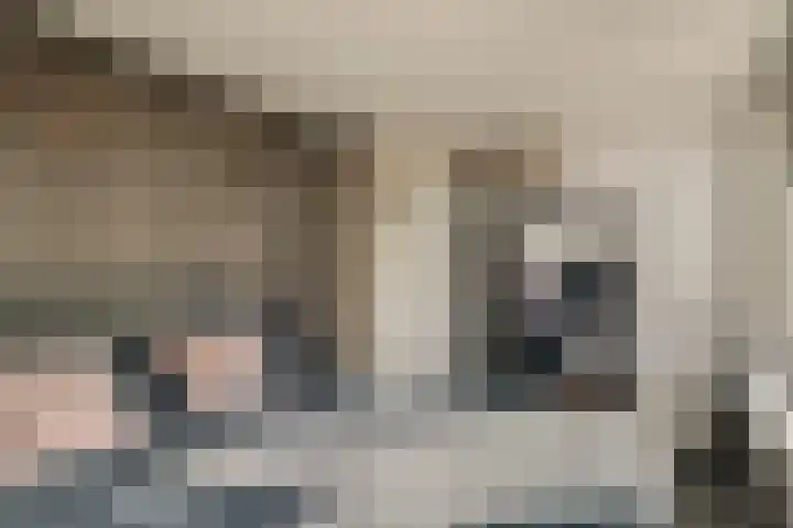 Van Haersoltemarke 4 Zwolle thumbnail 30