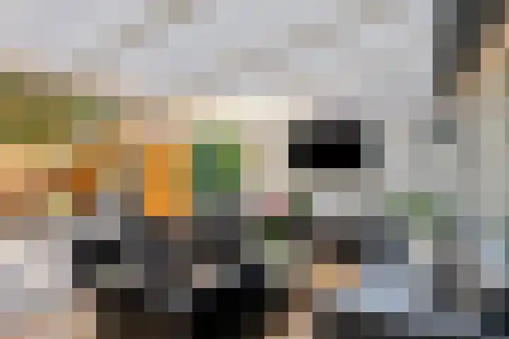 Van Haersoltemarke 4 Zwolle thumbnail 31