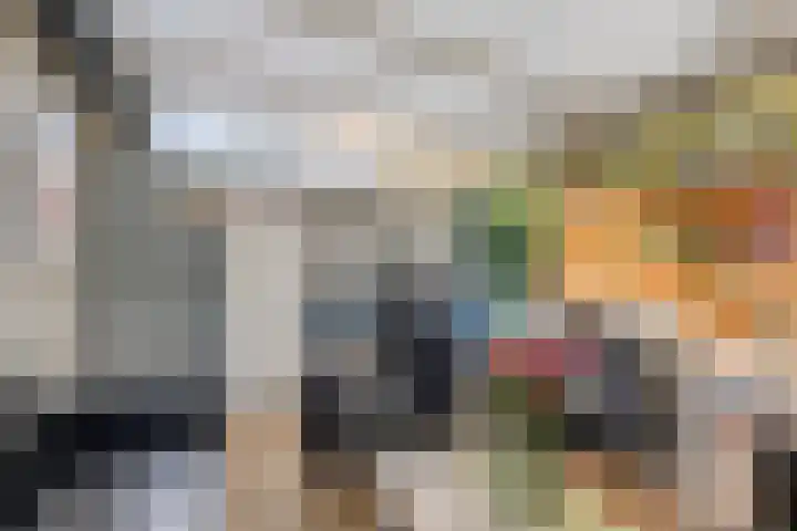 Van Haersoltemarke 4 Zwolle thumbnail 32