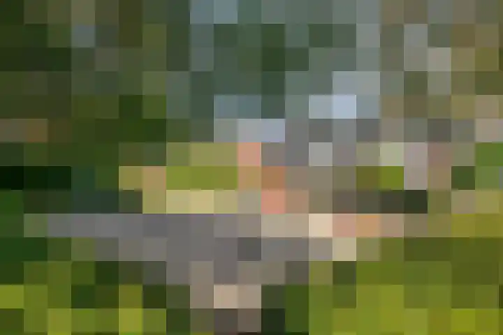 Van Haersoltemarke 4 Zwolle thumbnail 34