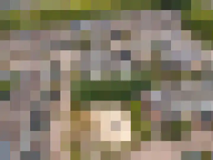 Van Haersoltemarke 4 Zwolle thumbnail 35
