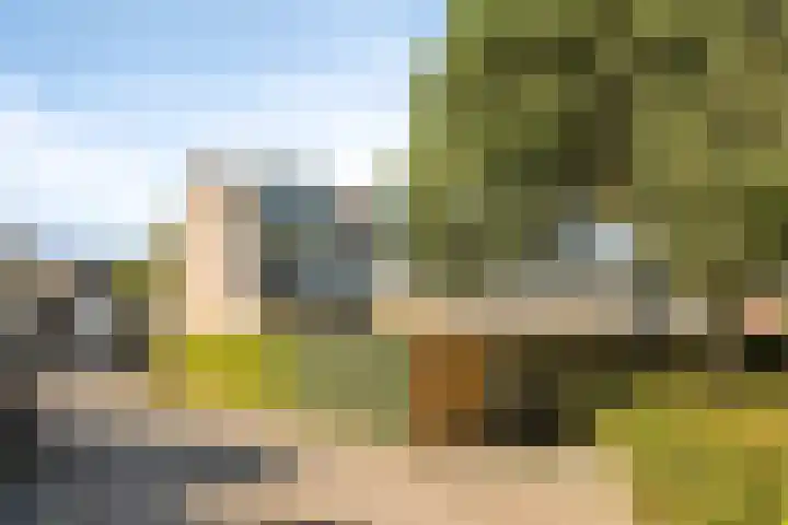 Van Haersoltemarke 4 Zwolle thumbnail 36