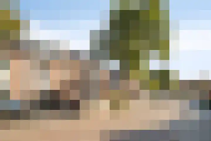 Van Haersoltemarke 4 Zwolle thumbnail 4