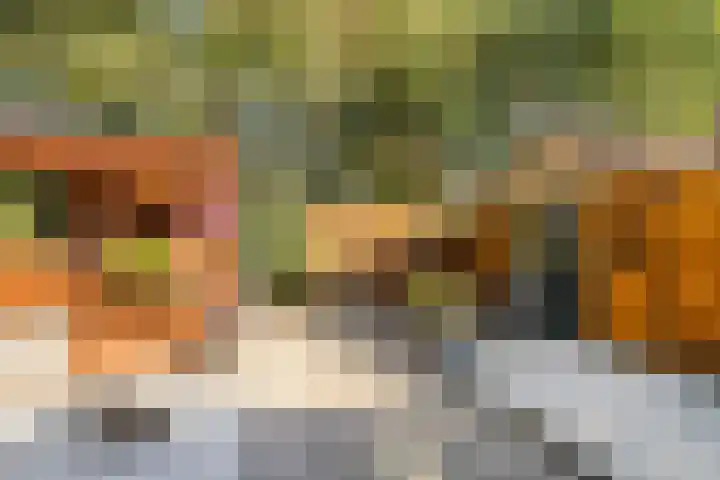 Van Haersoltemarke 4 Zwolle thumbnail 5