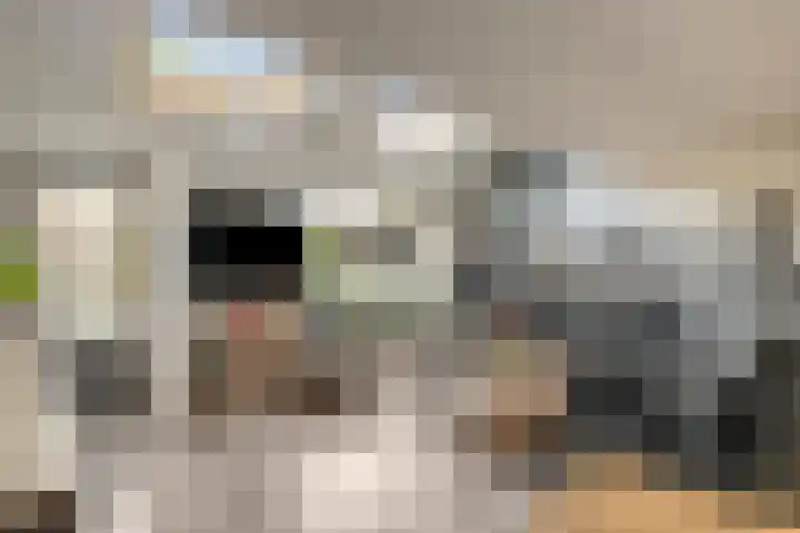 Van Haersoltemarke 4 Zwolle thumbnail 6