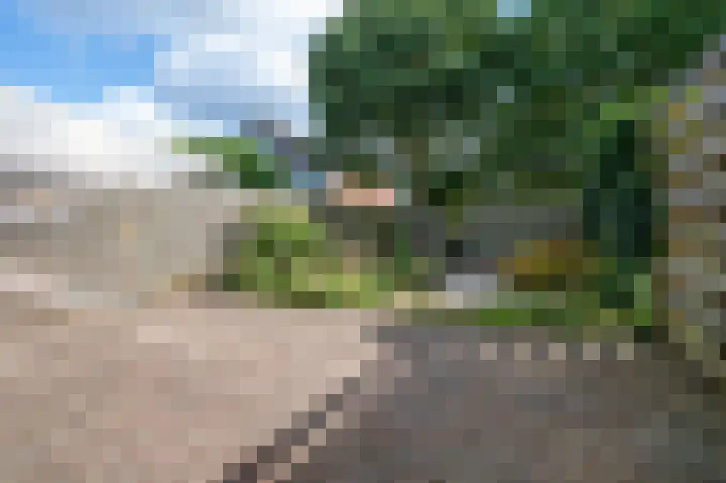 Van Haersoltemarke 6 Zwolle thumbnail 10
