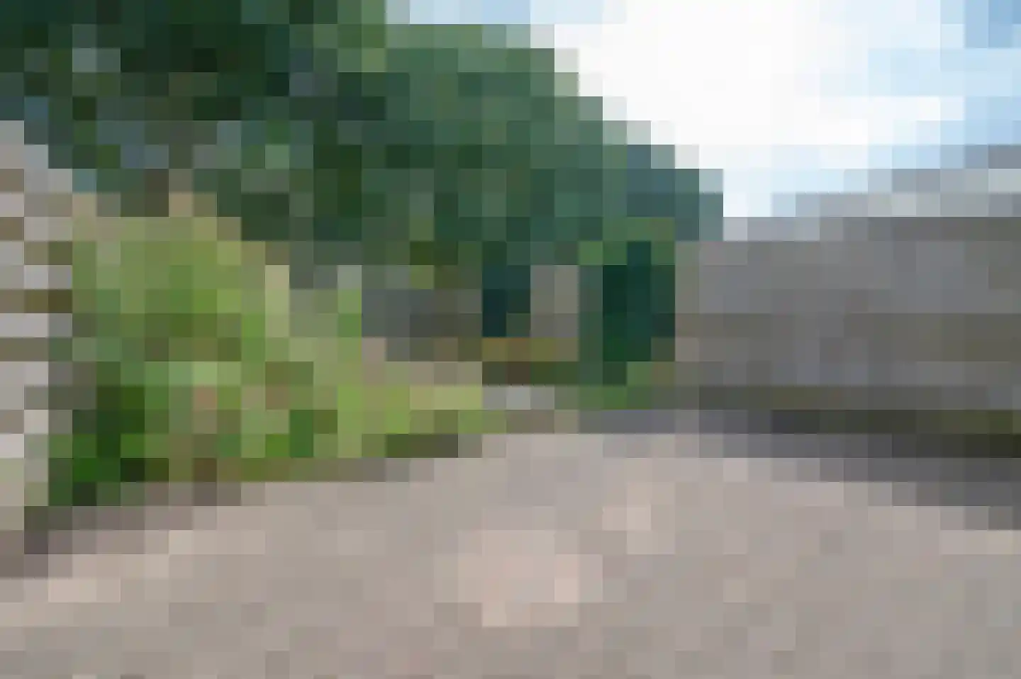 Van Haersoltemarke 6 Zwolle thumbnail 11