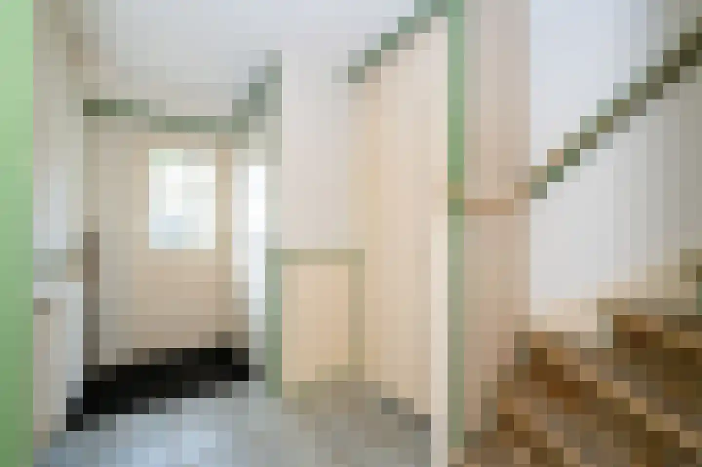 Van Haersoltemarke 6 Zwolle thumbnail 32