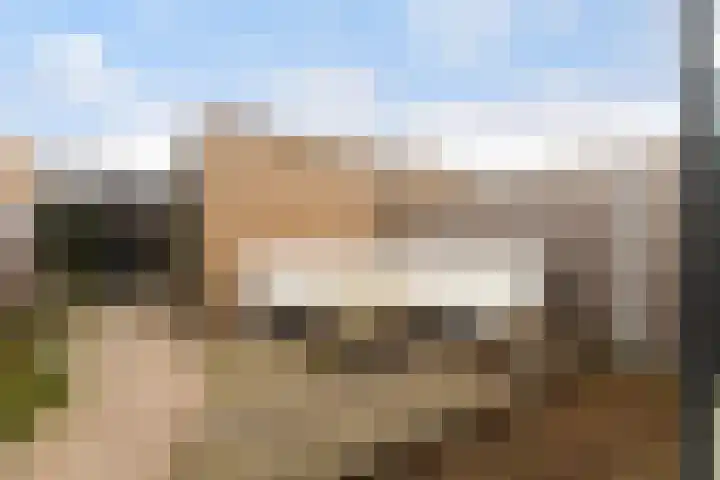 Van Haersolteweg 26 Apeldoorn thumbnail 13