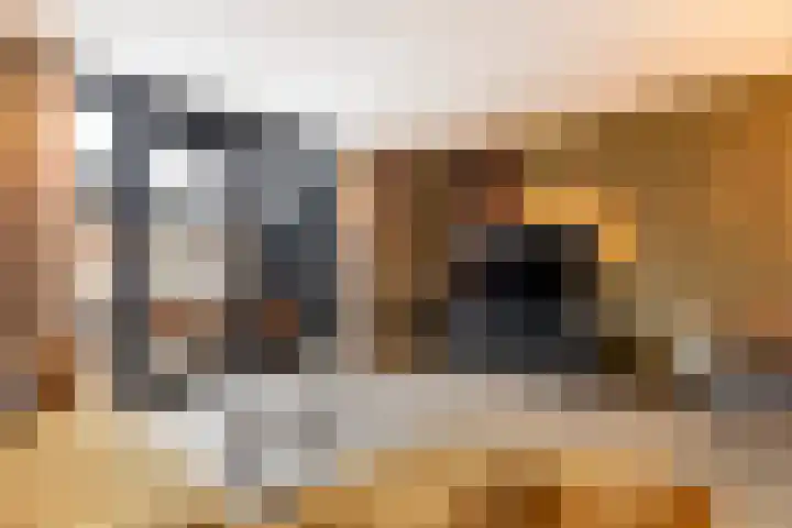 Van Haersolteweg 26 Apeldoorn thumbnail 4