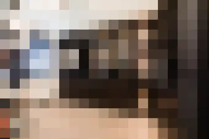 Van Haersolteweg 61 Apeldoorn thumbnail 17