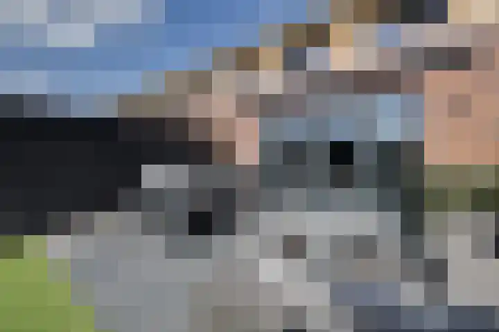 Van Haersolteweg 61 Apeldoorn thumbnail 28