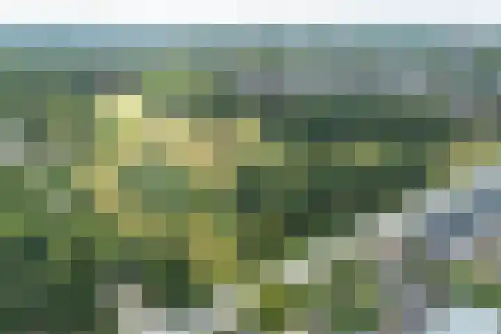 Van Haersolteweg 61 Apeldoorn thumbnail 37