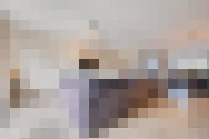 Van Haersolteweg 61 Apeldoorn thumbnail 6