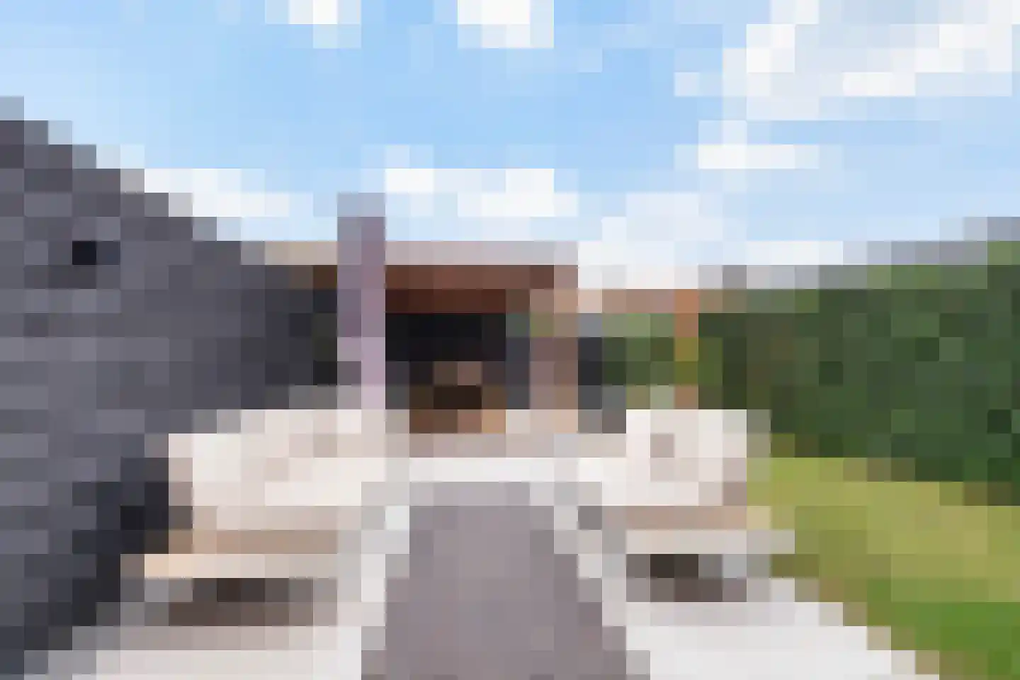 Van Haersolteweg 63 Apeldoorn thumbnail 27